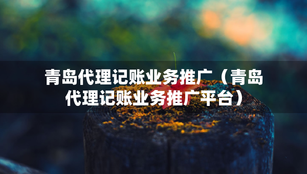 青島代理記賬業(yè)務(wù)推廣（青島代理記賬業(yè)務(wù)推廣平臺(tái)）