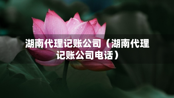 湖南代理記賬公司（湖南代理記賬公司電話）