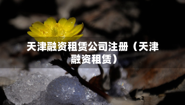 天津融資租賃公司注冊(cè)（天津 融資租賃）