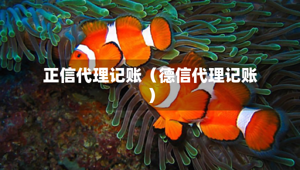正信代理記賬（德信代理記賬）