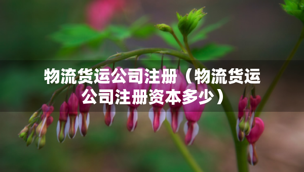 物流貨運公司注冊（物流貨運公司注冊資本多少）