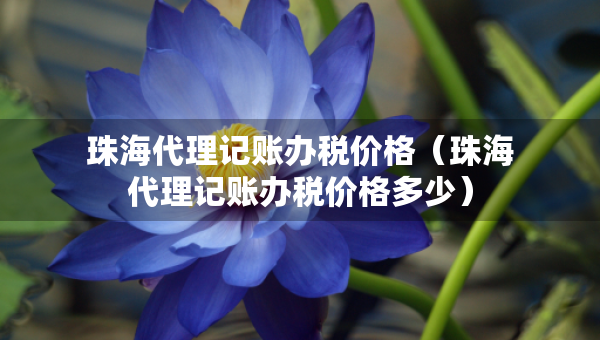 珠海代理記賬辦稅價格（珠海代理記賬辦稅價格多少）