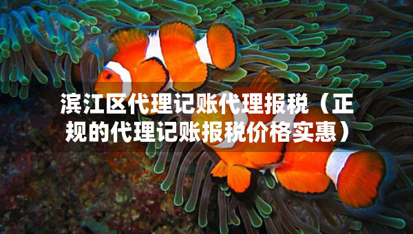 濱江區(qū)代理記賬代理報(bào)稅（正規(guī)的代理記賬報(bào)稅價(jià)格實(shí)惠）