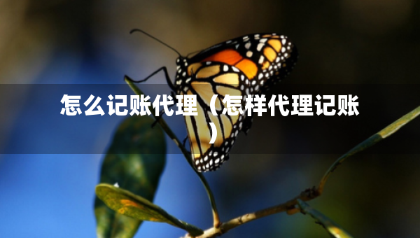 怎么記賬代理（怎樣代理記賬）