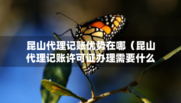 昆山代理記賬優(yōu)勢(shì)在哪（昆山代理記賬許可證辦理需要什么條件）
