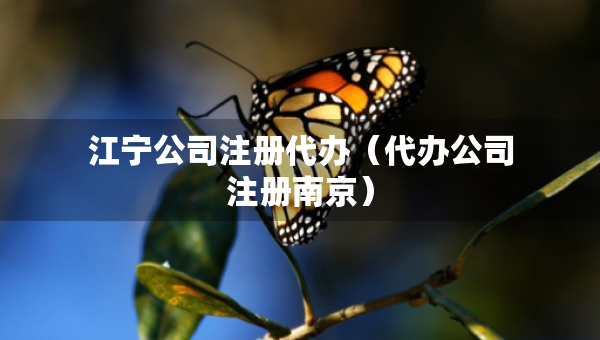 江寧公司注冊代辦（代辦公司注冊南京）