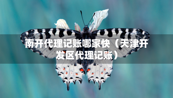 南開代理記賬哪家快（天津開發(fā)區(qū)代理記賬）