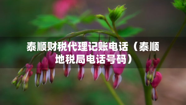 泰順財(cái)稅代理記賬電話（泰順地稅局電話號(hào)碼）