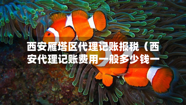 西安雁塔區(qū)代理記賬報稅（西安代理記賬費用一般多少錢一個月）