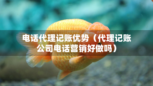 電話代理記賬優(yōu)勢（代理記賬公司電話營銷好做嗎）