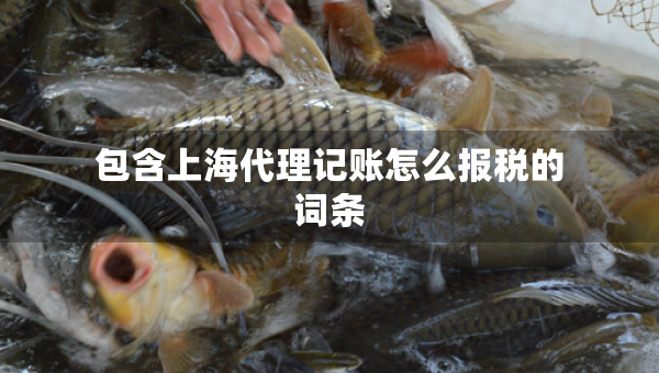 包含上海代理記賬怎么報(bào)稅的詞條