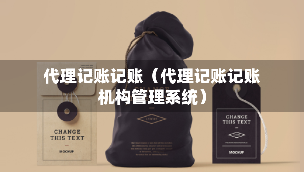 代理記賬記賬（代理記賬記賬機構(gòu)管理系統(tǒng)）
