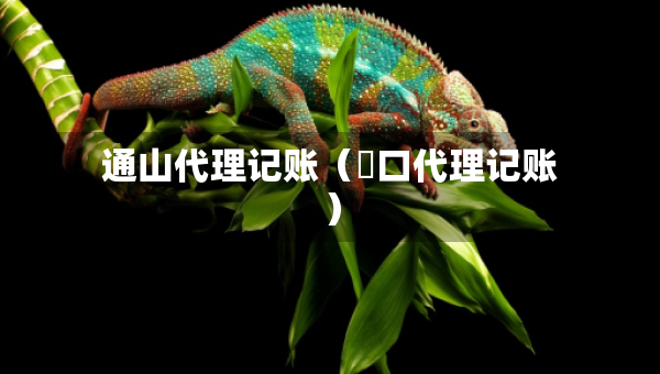 通山代理記賬（硚口代理記賬）