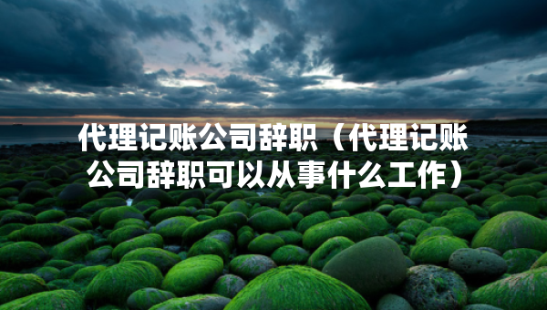 代理記賬公司辭職（代理記賬公司辭職可以從事什么工作）