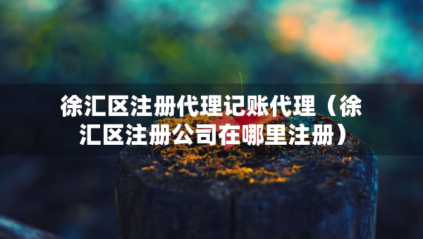 徐匯區(qū)注冊代理記賬代理（徐匯區(qū)注冊公司在哪里注冊）