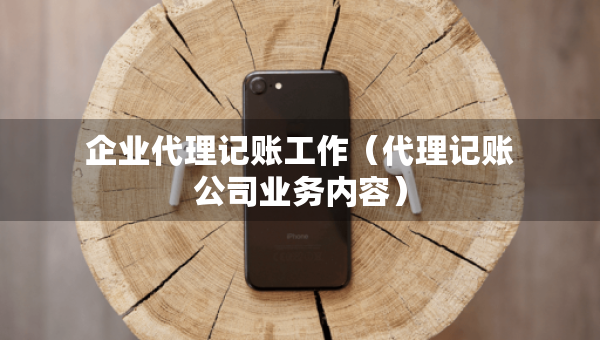 企業(yè)代理記賬工作（代理記賬公司業(yè)務(wù)內(nèi)容）
