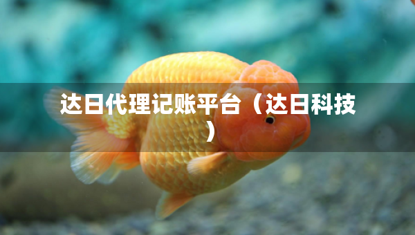 達(dá)日代理記賬平臺(tái)（達(dá)日科技）