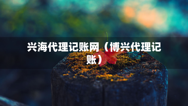 興海代理記賬網(wǎng)（博興代理記賬）