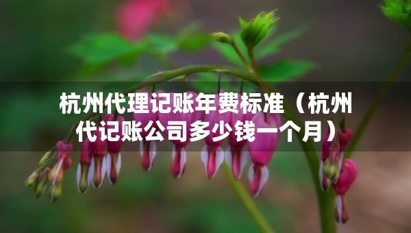 杭州代理記賬年費標(biāo)準(zhǔn)（杭州代記賬公司多少錢一個月）