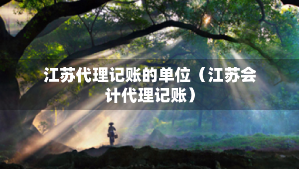 江蘇代理記賬的單位（江蘇會計代理記賬）
