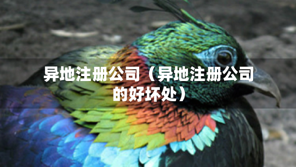 異地注冊(cè)公司（異地注冊(cè)公司的好壞處）