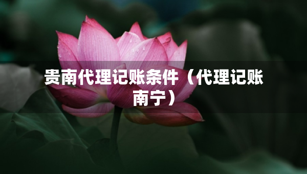 貴南代理記賬條件（代理記賬南寧）