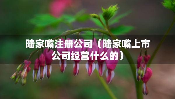 陸家嘴注冊公司（陸家嘴上市公司經(jīng)營什么的）