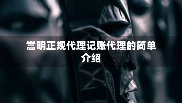 嵩明正規(guī)代理記賬代理的簡單介紹