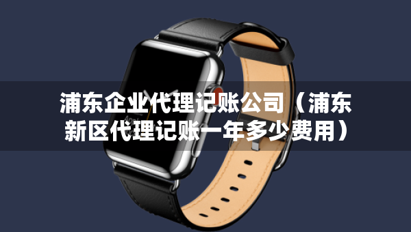 浦東企業(yè)代理記賬公司（浦東新區(qū)代理記賬一年多少費用）