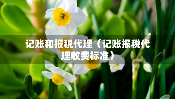 記賬和報稅代理（記賬報稅代理收費標準）