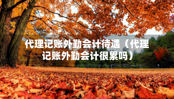 代理記賬外勤會計待遇（代理記賬外勤會計很累嗎）