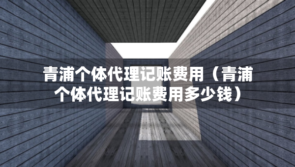 青浦個(gè)體代理記賬費(fèi)用（青浦個(gè)體代理記賬費(fèi)用多少錢(qián)）