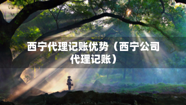 西寧代理記賬優(yōu)勢(shì)（西寧公司代理記賬）