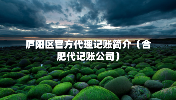 廬陽區(qū)官方代理記賬簡介（合肥代記賬公司）