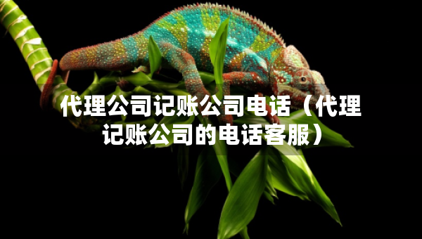 代理公司記賬公司電話（代理記賬公司的電話客服）