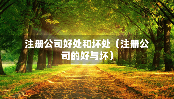注冊(cè)公司好處和壞處（注冊(cè)公司的好與壞）
