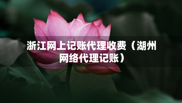 浙江網(wǎng)上記賬代理收費(fèi)（湖州網(wǎng)絡(luò)代理記賬）