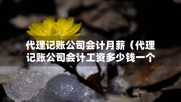 代理記賬公司會計(jì)月薪（代理記賬公司會計(jì)工資多少錢一個(gè)月）