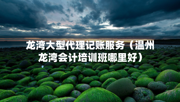 龍灣大型代理記賬服務(wù)（溫州龍灣會計培訓(xùn)班哪里好）