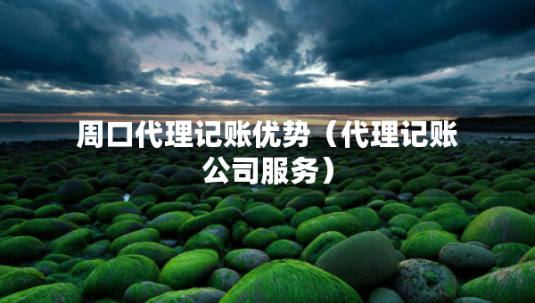 周口代理記賬優(yōu)勢（代理記賬公司服務(wù)）