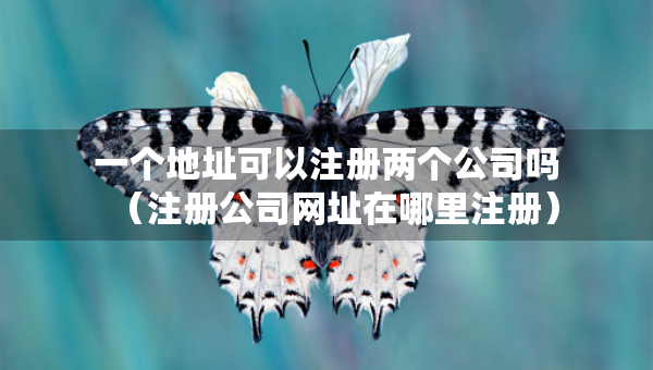 一個地址可以注冊兩個公司嗎（注冊公司網(wǎng)址在哪里注冊）