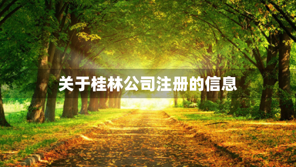 關(guān)于桂林公司注冊的信息