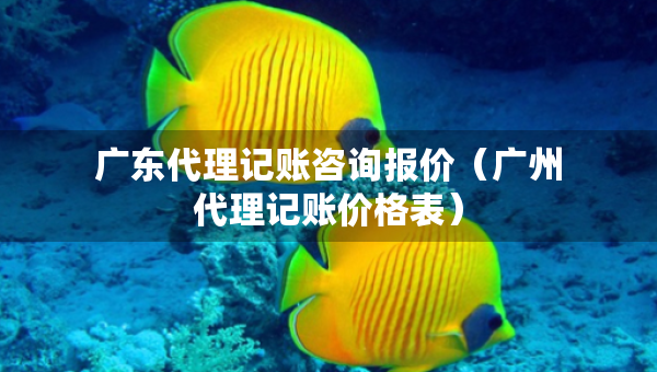 廣東代理記賬咨詢報(bào)價(jià)（廣州代理記賬價(jià)格表）
