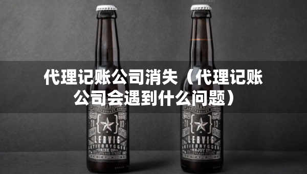 代理記賬公司消失（代理記賬公司會遇到什么問題）