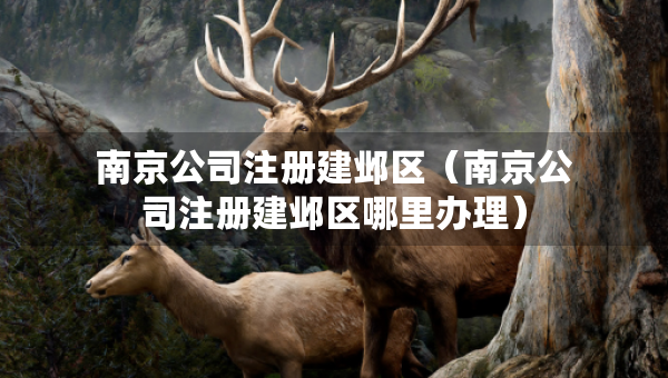 南京公司注冊建鄴區(qū)（南京公司注冊建鄴區(qū)哪里辦理）