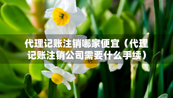 代理記賬注銷哪家便宜（代理記賬注銷公司需要什么手續(xù)）
