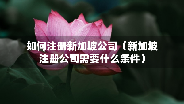 如何注冊(cè)新加坡公司（新加坡注冊(cè)公司需要什么條件）
