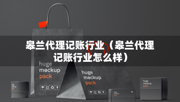 皋蘭代理記賬行業(yè)（皋蘭代理記賬行業(yè)怎么樣）