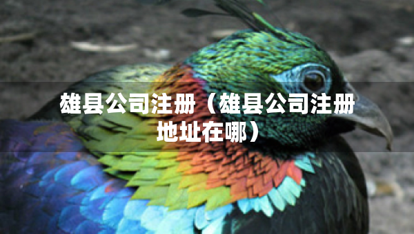 雄縣公司注冊（雄縣公司注冊地址在哪）