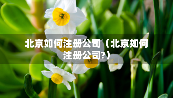 北京如何注冊公司（北京如何注冊公司?）